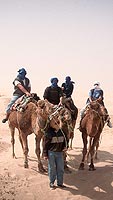 Kamelritt im Sandsturm (Douz)