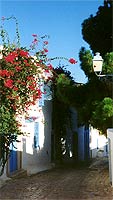 Eine Gasse in Sidi Bou Said