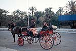 Gabes - mit der Kutsche durch den Garten Eden
